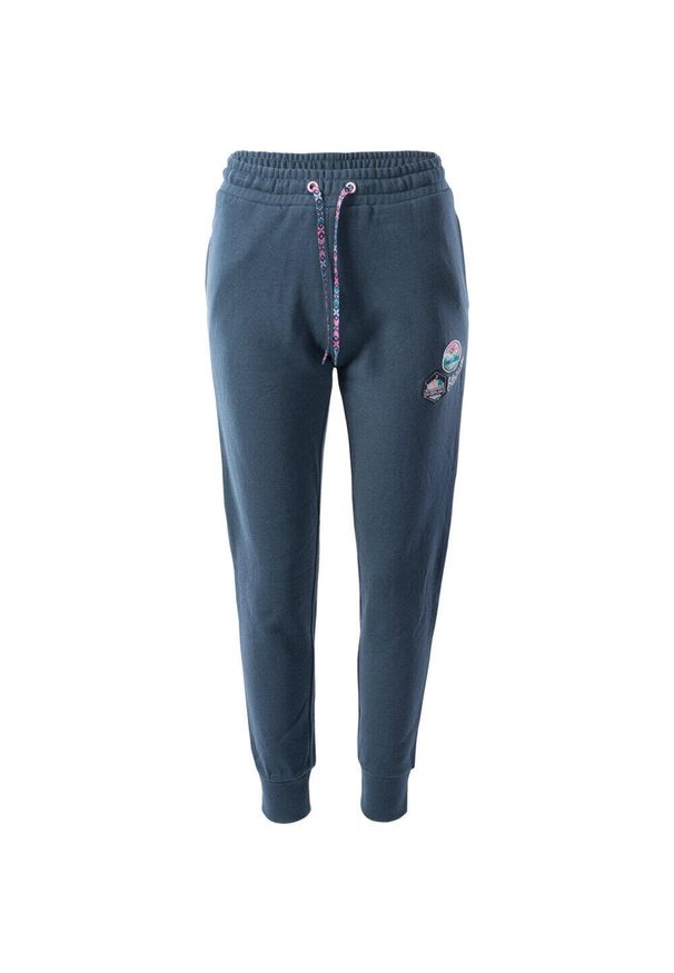 Damskie treningowe spodnie Elbrus Sogia. Kolor: szary. Długość: długie