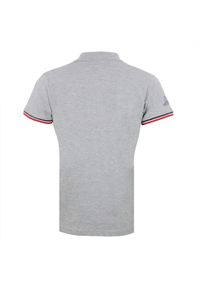 PEAK MOUNTAIN - Damska koszulka polo Peak Mountain Abeca. Typ kołnierza: polo. Kolor: szary. Styl: elegancki, sportowy #2