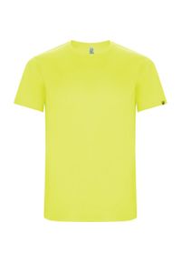 ROLY - Męska Koszulka Sportowa Imola Z Krótkim Rękawem. Kolor: żółty. Długość rękawa: krótki rękaw. Długość: krótkie. Sport: turystyka piesza #1