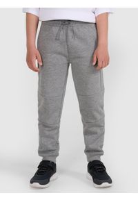 4f - 4F Spodnie dresowe joggery chłopięce - szare 134 (8-9 lat). Okazja: na co dzień. Kolor: szary. Materiał: dresówka. Wzór: ze splotem, gładki. Sezon: lato. Styl: młodzieżowy, sportowy, casual #2
