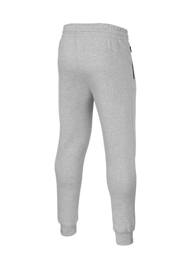 PITBULL - Spodnie męskie Hatton. Kolor: szary. Sport: fitness