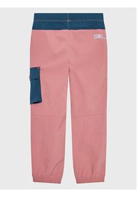 Jack Wolfskin Spodnie outdoor Villi Stretch 1610011 Różowy Regular Fit. Kolor: różowy. Materiał: syntetyk. Sport: outdoor #2