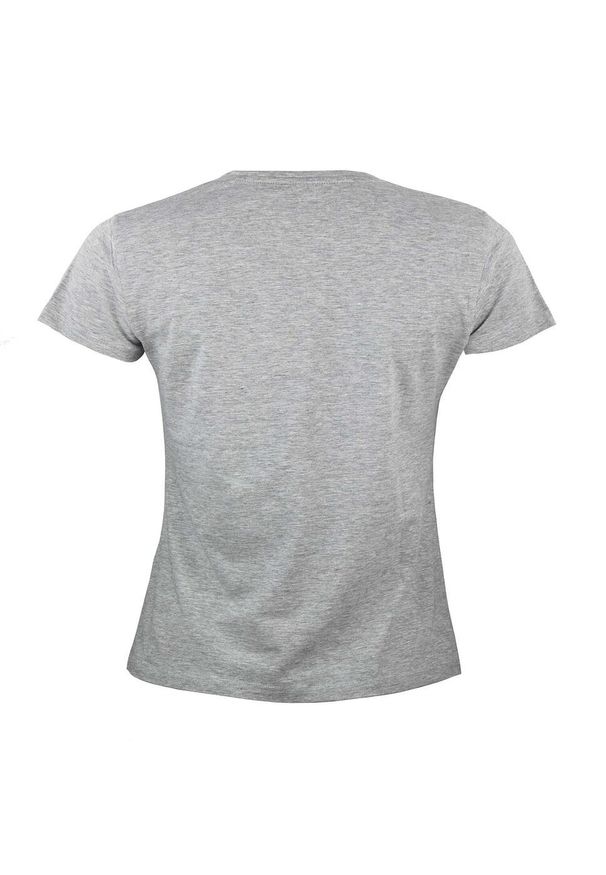 PEAK MOUNTAIN - Koszulka damska Peak Mountain Atresor. Kolor: szary. Długość rękawa: krótki rękaw. Długość: krótkie. Sport: outdoor