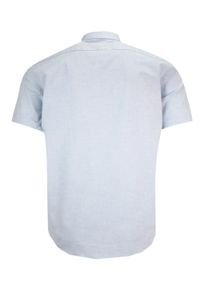 Quickside - Koszula Wizytowa Niebieska z Krótkim Rękawem, Taliowana -QUICKSIDE. Okazja: do pracy, na spotkanie biznesowe. Kolor: niebieski. Materiał: bawełna, elastan. Długość rękawa: krótki rękaw. Długość: krótkie. Styl: wizytowy #3