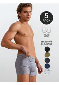 Sinsay - Bawełniane bokserki long 5pack - wielobarwny. Materiał: bawełna