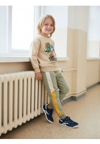Sinsay - Spodnie dresowe z kolorowymi lampasami - wielobarwny. Materiał: dresówka. Wzór: kolorowy