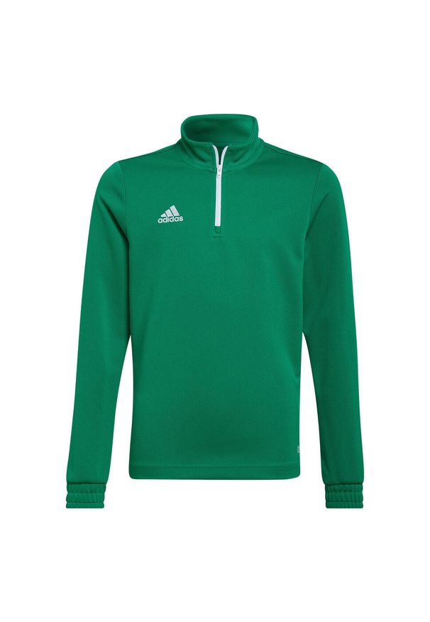 Adidas - Bluza piłkarska dla dzieci adidas Entrada 22 Training Top. Kolor: zielony. Sport: piłka nożna