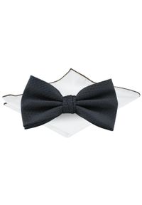 Męska Mucha w Komplecie z Poszetką - Chattier - Granatowa, Faktura Tkaniny. Kolor: niebieski. Materiał: tkanina. Styl: sportowy, elegancki #1