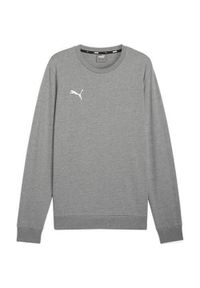 Bluza sportowa męska Puma B23617. Kolor: szary