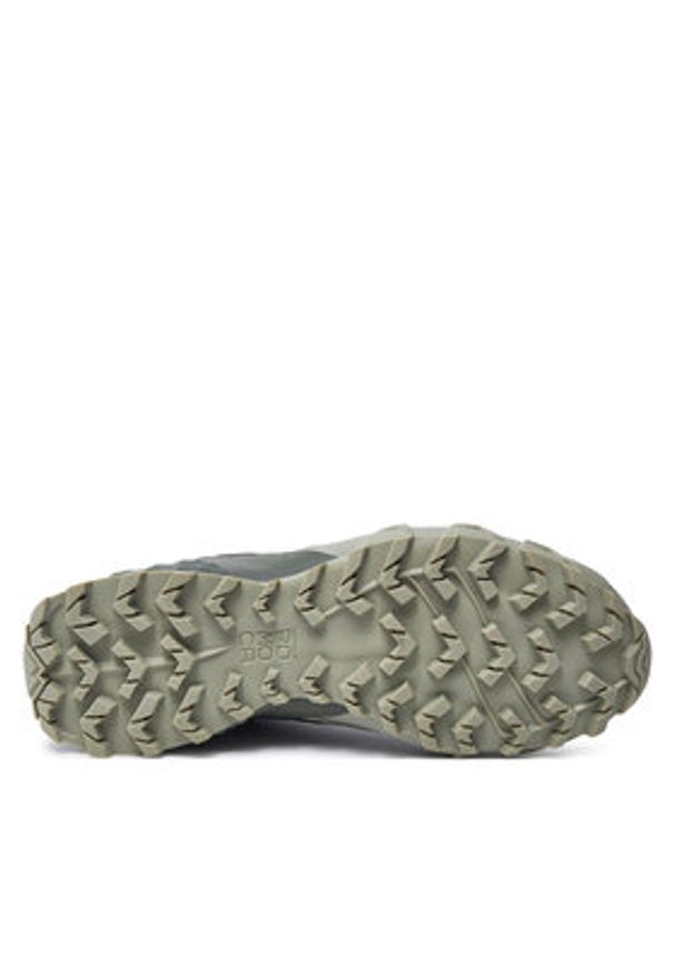 Dynafit Buty do biegania Feline Sl W Gtx 5654 Zielony. Kolor: zielony
