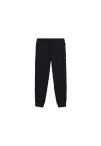 Spodnie Napapijri Malis Sum czarne na wędrówki. Kolor: czarny. Materiał: bawełna #1