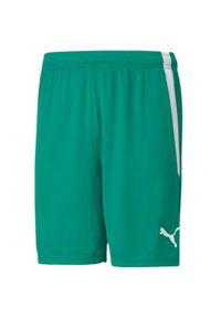 Puma - Męskie Spodenki TeamLIGA. Kolor: zielony. Sport: turystyka piesza