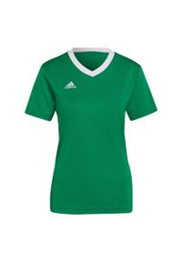 Koszulka piłkarska damska Adidas Entrada 22 Jersey. Kolor: zielony, wielokolorowy, biały. Materiał: jersey. Sport: piłka nożna