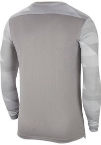 Bluza bramkarska męska Nike Dry Park IV JSY LS GK. Kolor: szary