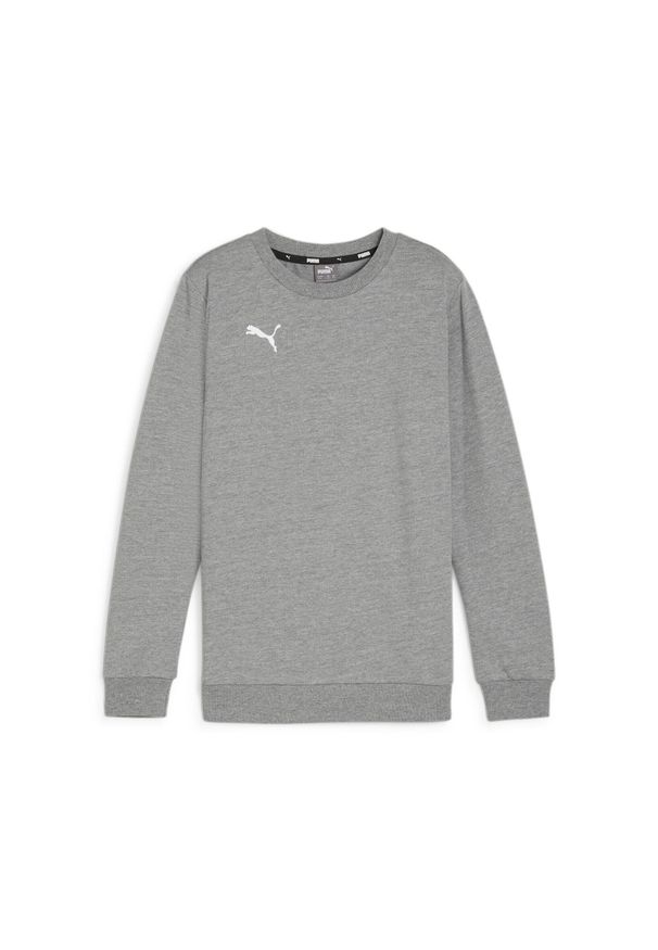 Bluza dziecięca Puma teamGOAL Casuals. Kolor: szary. Materiał: polar. Sport: piłka nożna