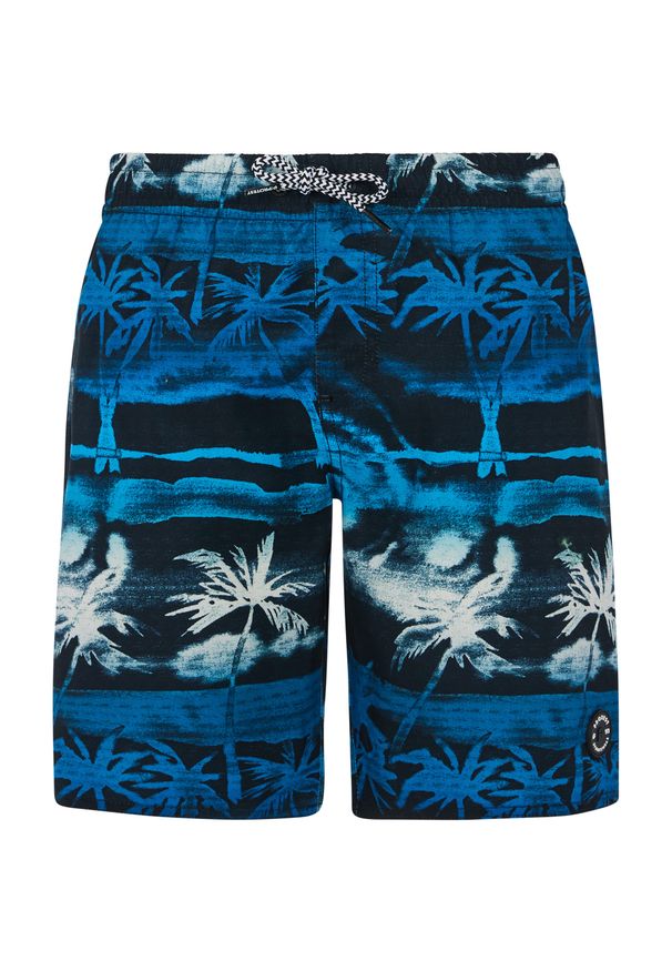 Protest - Szorty plażowe chłopięce junior PROTEST PRTStones. Kolor: wielokolorowy