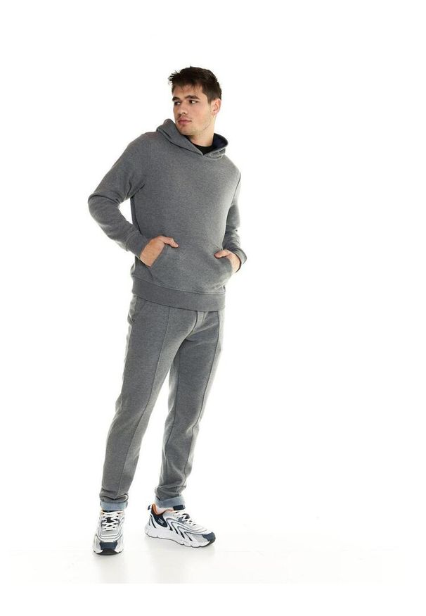 LEONE 1947 APPAREL - Męska bluza Leone z kapturem Lifestyle. Typ kołnierza: kaptur. Kolor: szary. Materiał: tkanina. Sport: fitness