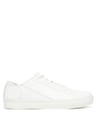 Sneakersy Timberland. Kolor: biały #1