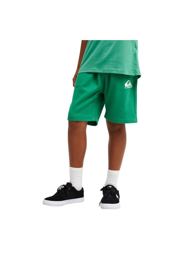 Quiksilver - Spodenki z elastyczną talią dla Chłopcy EASY DAY Zielony. Kolor: zielony. Materiał: poliester, bawełna, tkanina. Długość: krótkie. Sezon: lato
