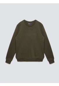 Big-Star - Bluza męska ze splotem pique khaki Wiron 303. Okazja: na co dzień. Kolor: zielony. Materiał: jeans, tkanina, materiał, dzianina. Wzór: ze splotem. Styl: klasyczny, casual