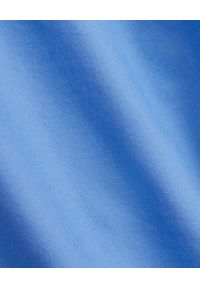 Ralph Lauren - RALPH LAUREN - Niebieska bawełniana koszula Slim Fit z logo. Okazja: na co dzień. Typ kołnierza: polo. Kolor: niebieski. Materiał: bawełna. Wzór: haft. Styl: casual #4