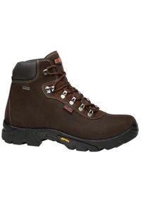 Buty trekkingowe męskie Chiruca Gredos Supra 12. Kolor: brązowy