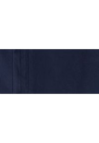 TOP SECRET - Spodnie męskie typu chino o regularnym kroju. Okazja: do pracy. Kolor: niebieski. Materiał: materiał, elastan, bawełna #2