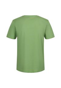 Regatta - T-shirt Męski Drzewo Breezed IV. Kolor: zielony