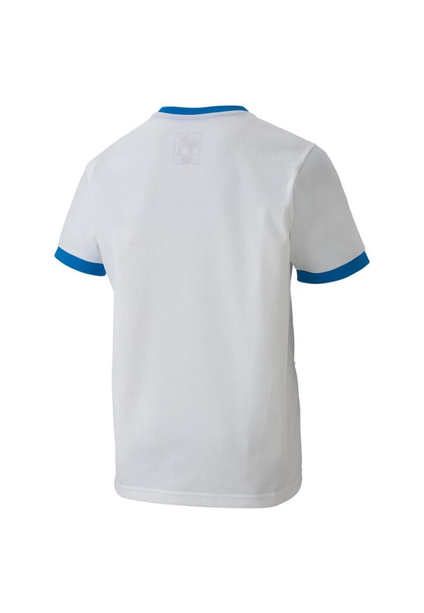 Koszulka dla dzieci Puma teamGOAL 23 Jersey. Kolor: biały, niebieski, wielokolorowy. Materiał: poliester