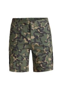 Quiksilver - Spodenki hybrydowe dla Mężczyzn HALF 19" Beżowy. Kolor: brązowy, zielony, wielokolorowy. Materiał: elastan, poliester, materiał. Długość: krótkie. Sezon: lato