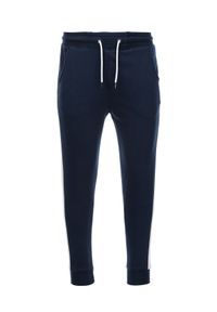 Ombre Clothing - Spodnie męskie dresowe z lampasem - granatowe V2 P865 - XL. Kolor: niebieski. Materiał: dresówka #3