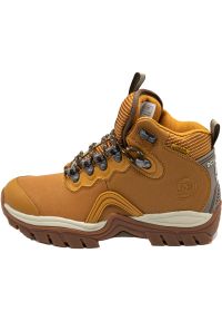 DC Shoes - Buty męskie DC Navigator Winter. Kolor: brązowy. Sport: turystyka piesza