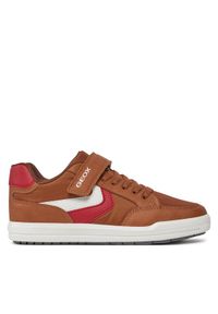 Geox Sneakersy J Arzach Boy J454AA 0FUME C0056 D Brązowy. Kolor: brązowy