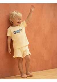 Sinsay - Prążkowany komplet dzianinowy z haftem - żółty. Kolor: żółty. Materiał: prążkowany, dzianina. Wzór: haft #1