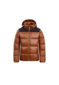 ICEPEAK - Kurtka zimowa męska Icepeak Anderson. Kolor: brązowy. Materiał: poliester. Sezon: zima. Sport: turystyka piesza
