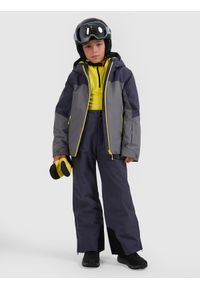 4f - 4F Spodnie narciarskie membrana 8000 chłopięce - szare 122 (6-7 lat). Kolor: szary. Materiał: poliester, materiał. Wzór: gładki. Sezon: lato. Sport: narciarstwo #1