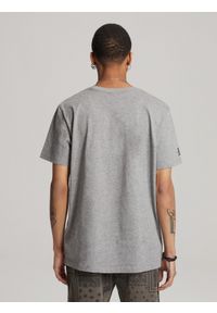 Diverse - T-shirt męski z nadrukiem WOLF CALI S1819 - szary. Kolor: szary. Materiał: poliester, bawełna. Wzór: nadruk #3