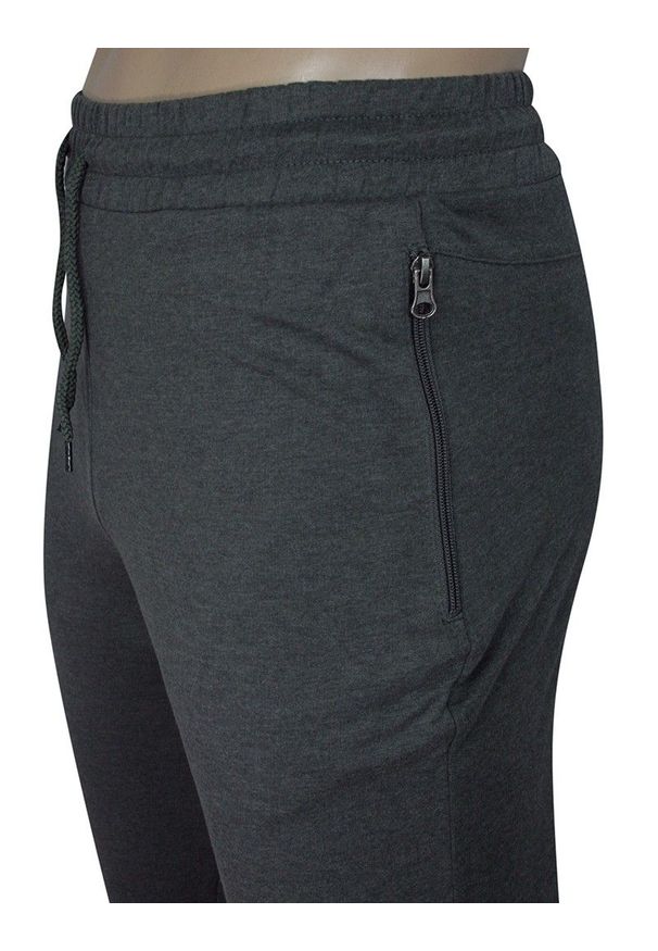 Pako Jeans - Spodnie Dresowe Grafitowe z Kieszonkami na Zamek, Sportowe, Męskie, ze Ściągaczami -PAKO JEANS. Kolor: szary. Materiał: bawełna. Styl: sportowy
