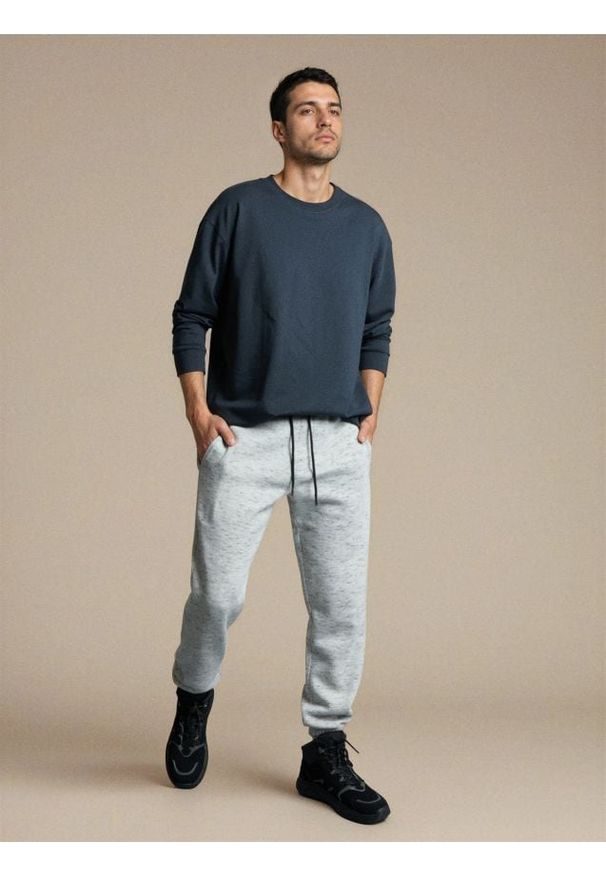 Sinsay - Spodnie dresowe regular jogger - szary. Kolor: szary. Materiał: dresówka