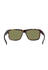 TRESPASS - Okulary Przeciwsłoneczne Unisex Dla Dorosłych Bryn Tortoise Shell. Kolor: brązowy