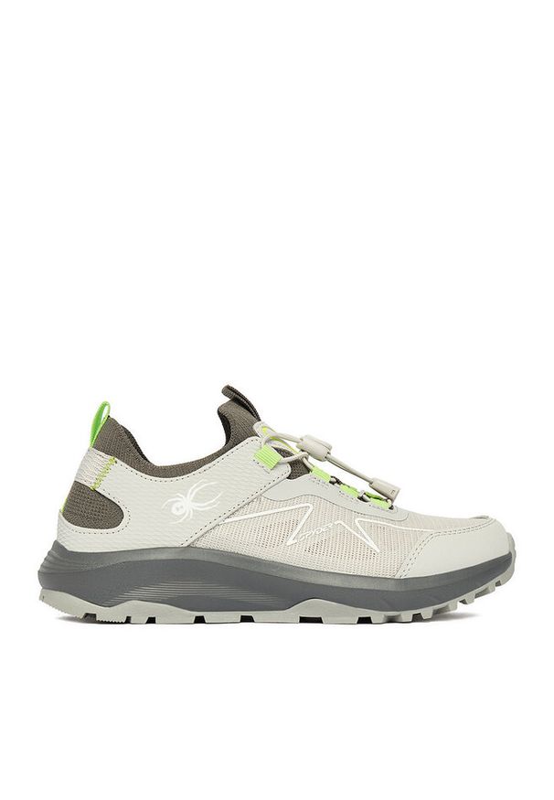 Sneakersy Spyder. Kolor: szary