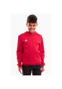 Adidas - Bluza piłkarska dla dzieci adidas Entrada 22 Hoody. Kolor: czerwony. Materiał: poliester, bawełna. Sport: piłka nożna #1