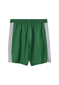 Puma - Męskie szorty SK Rapid Wiedeń 25/26 PUMA White Sport Green. Kolor: zielony, biały, wielokolorowy. Sport: fitness