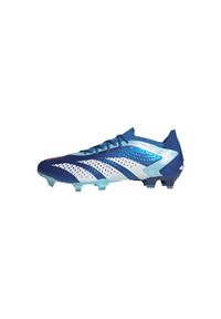 Buty Piłkarskie Adidas Sport Predator Accuracy.1 L Fg Dorosłych. Kolor: niebieski. Materiał: syntetyk. Sport: piłka nożna