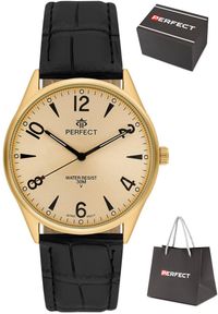Zegarek Perfect C141-08 męski klasyczny czytelny .. Styl: klasyczny #1