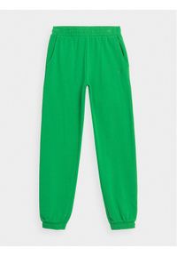 4f - 4F Spodnie dresowe 4FJAW23TTROF426 Zielony Regular Fit. Kolor: zielony. Materiał: bawełna