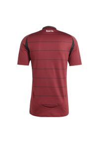 Adidas - Koszulka piłkarska ADIDAS Sparta Prague 25/26 Domowa. Wzór: paski. Sport: piłka nożna