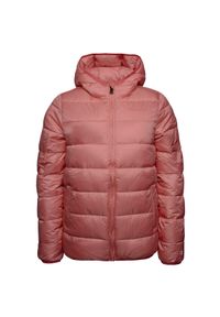 Kurtka uniwersalna dziewczęca Champion Hooded. Typ kołnierza: kaptur. Kolor: różowy. Materiał: puch. Sport: turystyka piesza #1