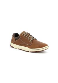 CATerpillar - Buty miejskie dla mężczyzn Caterpillar Colfax Casual. Okazja: na co dzień. Kolor: brązowy. Materiał: materiał, skóra, tkanina, syntetyk