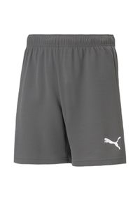 Spodenki Puma teamRise Short Jr 704943 13. Kolor: szary, wielokolorowy, biały. Sezon: lato. Sport: piłka nożna, fitness